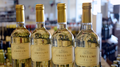 anselmi-san-vincenzo-2015