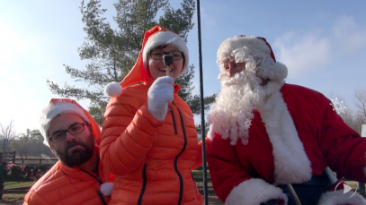 autocueillette-sapins-noel