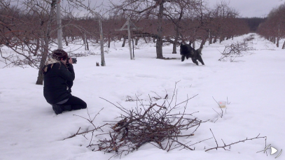 capsule11-photographe-animaliere