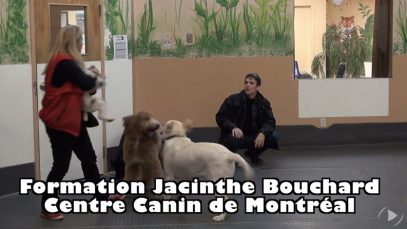 capsule13-jacinthebouchard