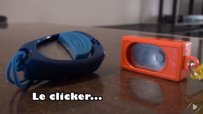 capsule14-leclicker