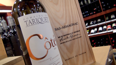 domaine-du-tariquet-cote-2015