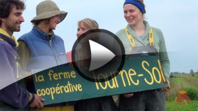 ferme-cooperative tourne-sol