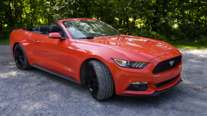 mustang