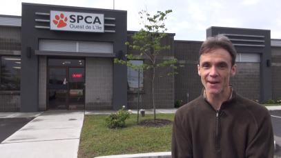 spca-ouest-ile