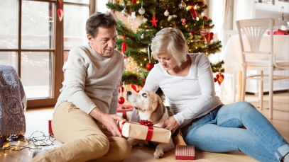 vie-chien-12-cadeaux-noel